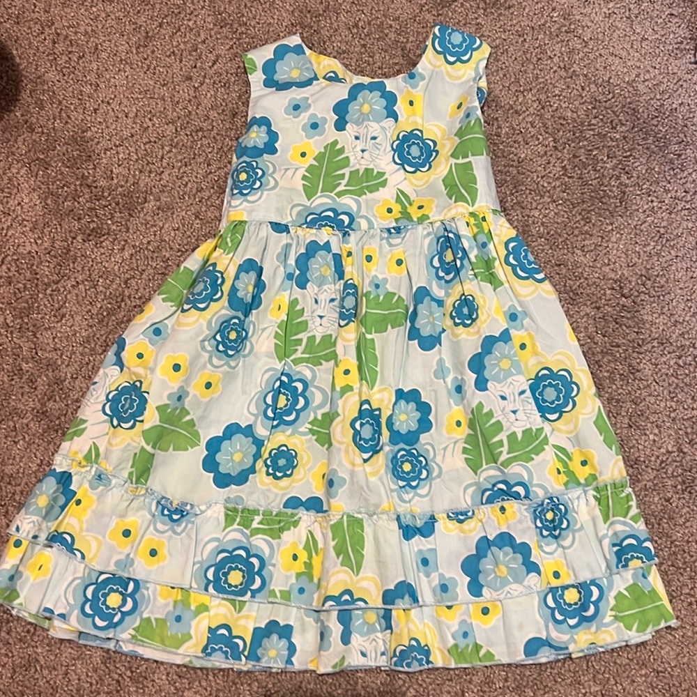 Size 4T Sweetdil dress